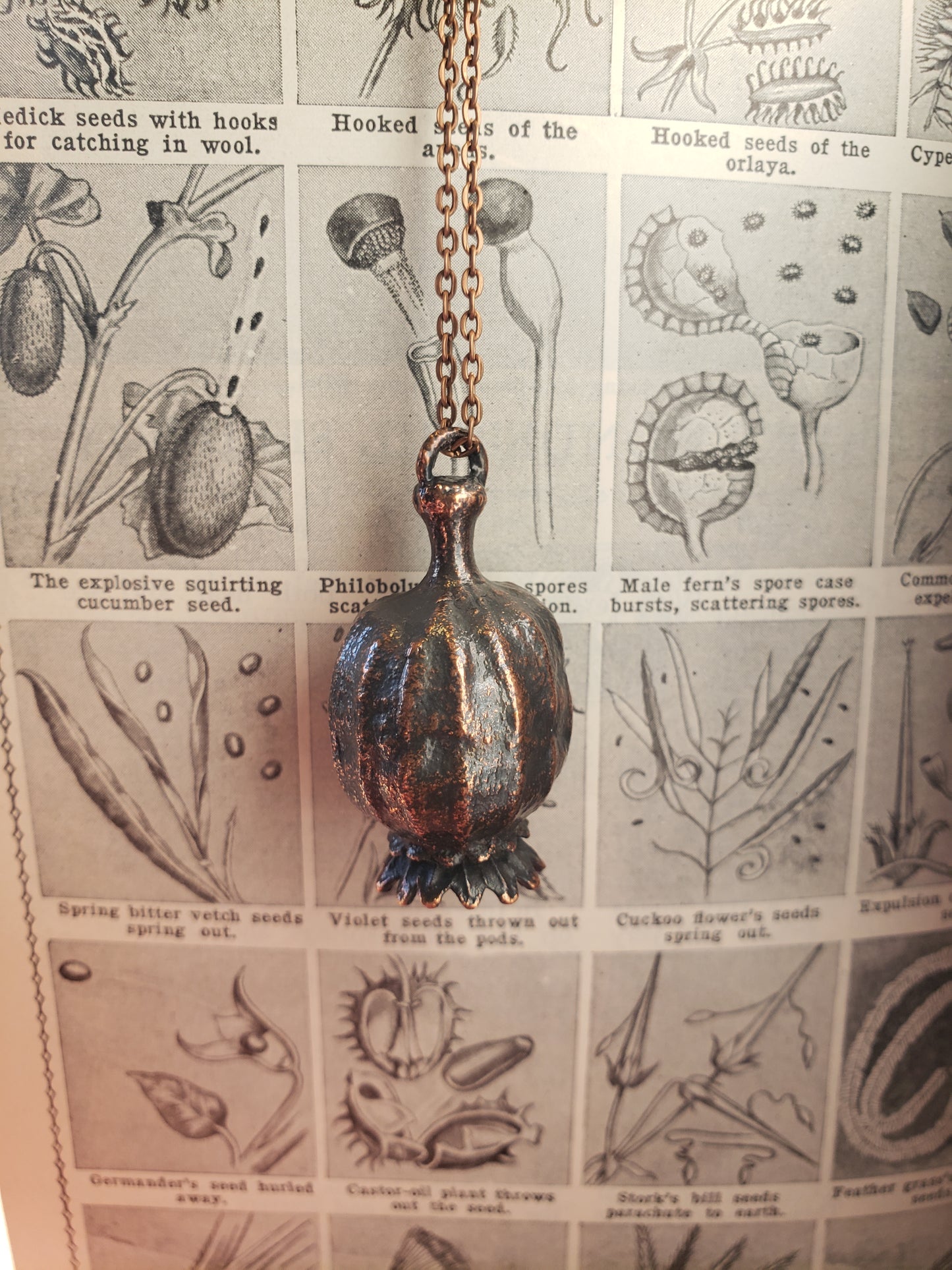 Real Poppy Seed Pod Pendant